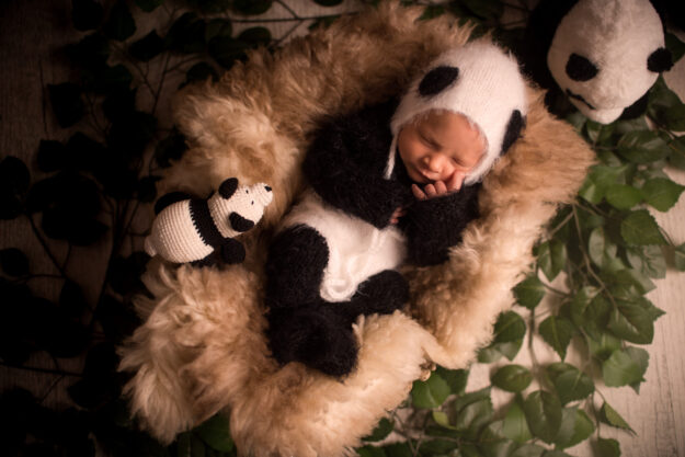 fotografia noworodkowa