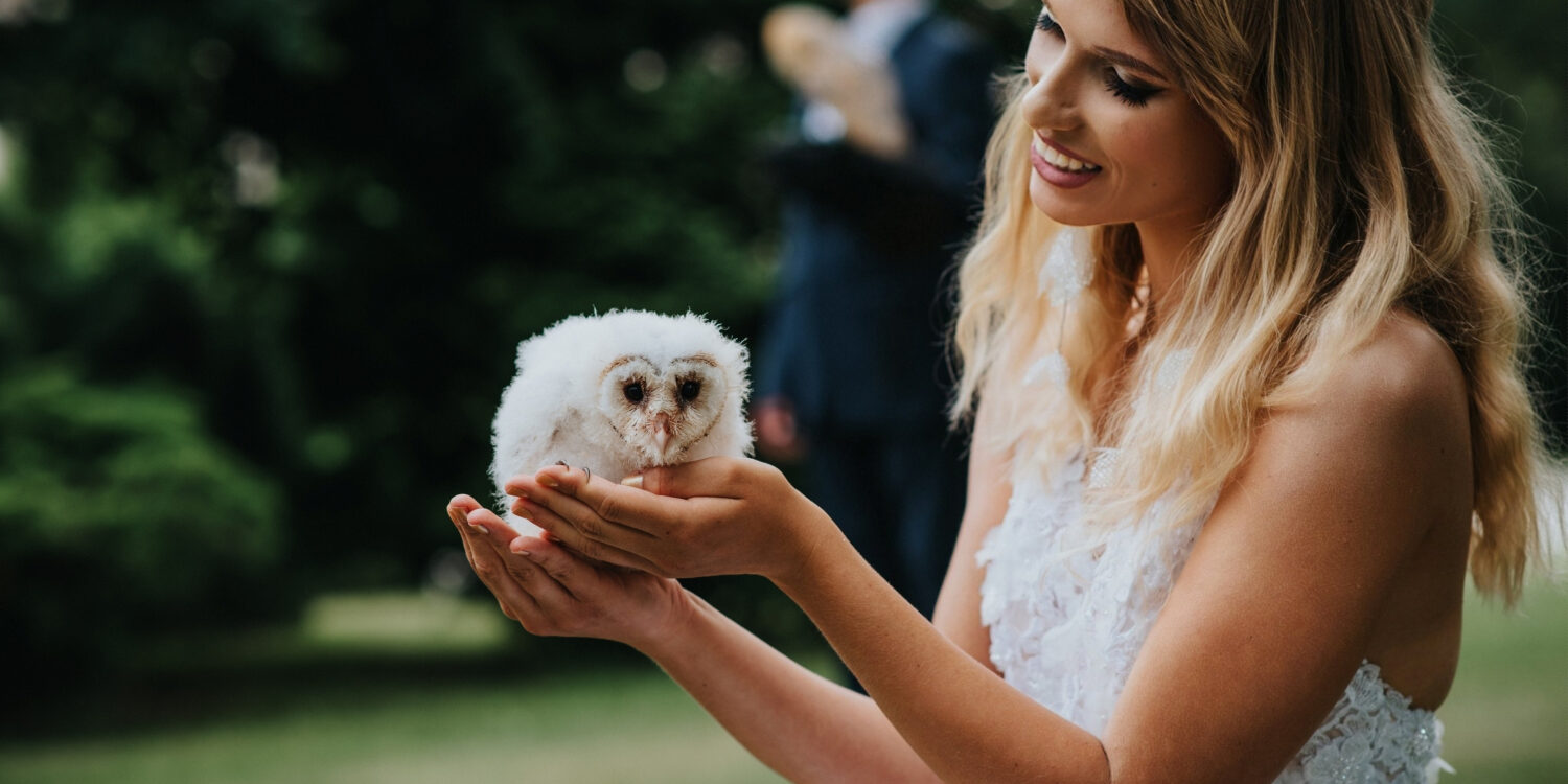 plener ślubny ze zwierzętami